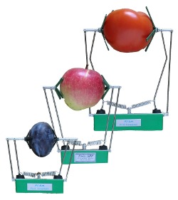 Датчики роста плодов FI-LM, FI-MM, FI-SM на фруктах