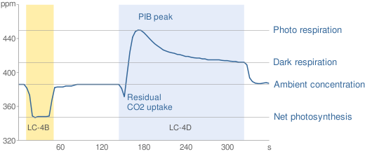 Measurement cycle phases